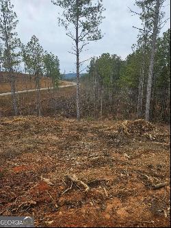 Blalock Mountain Rd - Lot 152, Talking Rock GA 30175