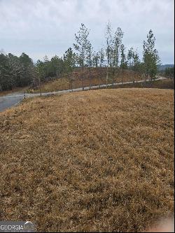 Blalock Mountain Rd - Lot 152, Talking Rock GA 30175