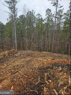 Blalock Mountain Rd - Lot 152, Talking Rock GA 30175