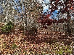 Lot 4 Charleston Ridge, Bryson City NC 28713