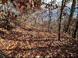 Lot 4 Charleston Ridge, Bryson City NC 28713