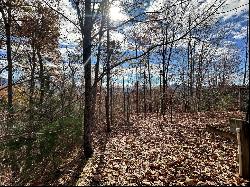 Lot 4 Charleston Ridge, Bryson City NC 28713