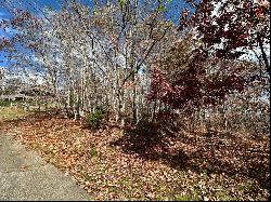 Lot 4 Charleston Ridge, Bryson City NC 28713