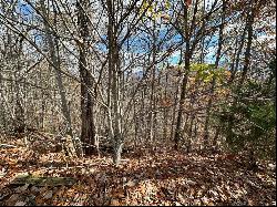 Lot 4 Charleston Ridge, Bryson City NC 28713