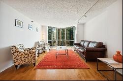 195 N Harbor Drive #1009, Chicago IL 60601