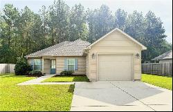 42594 Sac Au Lait Drive, Ponchatoula LA 70454