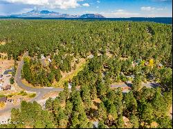 3124 Ancient Trail #309, Flagstaff AZ 86005