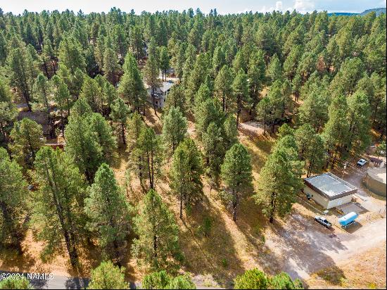 3124 Ancient Trail #309, Flagstaff AZ 86005