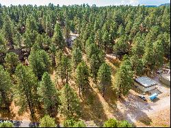 3124 Ancient Trail #309, Flagstaff AZ 86005