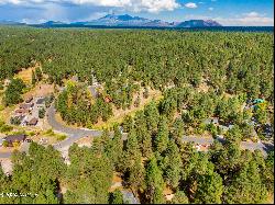 3124 Ancient Trail #309, Flagstaff AZ 86005