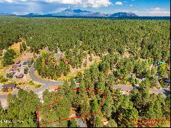 3124 Ancient Trail #309, Flagstaff AZ 86005