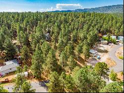 3124 Ancient Trail #309, Flagstaff AZ 86005