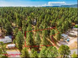 3124 Ancient Trail #309, Flagstaff AZ 86005