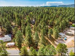 3124 Ancient Trail #309, Flagstaff AZ 86005