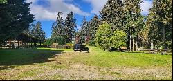 0 SW 232nd Street, Vashon WA 98070