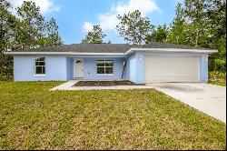 1864 W Swanson Drive, Citrus Springs FL 34434