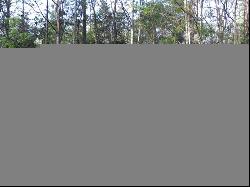 Lot 27B Eulonia Lake Estates Road SW, Townsend GA 31331