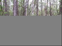 Lot 35 Lewis Lane, Townsend GA 31331