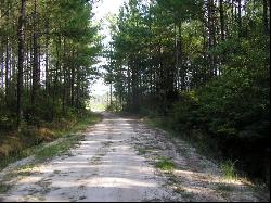 Jamestown Road, Waycross GA 31503