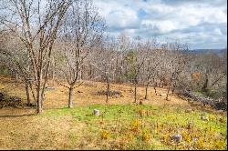 TBD Dogwood Ridge #2B, Fancy Gap VA 24328