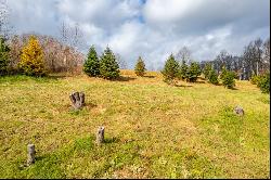 TBD Dogwood Ridge #2B, Fancy Gap VA 24328