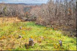 TBD Dogwood Ridge #2B, Fancy Gap VA 24328