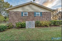 1203 Birchwood Drive, Scottsboro AL 35769