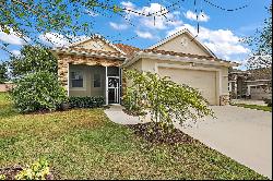 8060 Bridgeport Bay Circle, Mount Dora FL 32757