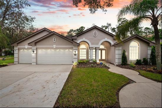 4742 Devonshire Boulevard, Palm Harbor FL 34685