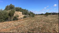 Flat rustic plot for sale near Llucmajor, Majorca., Llucmajor 07620