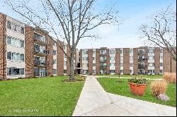 140 W Wood Street #418, Palatine IL 60067