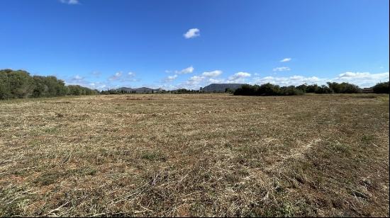 Plot for sale with project for an exclusive finca in Llucmajor, , Llucmajor 07620