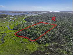 Mango Lane, Fernandina Beach FL 32034