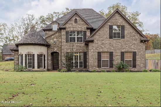 9879 Cypress Hollow Drive, Olive Branch MS 38654