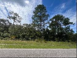 00 Richardson Boulevard #Lot 1, Webster FL 33597