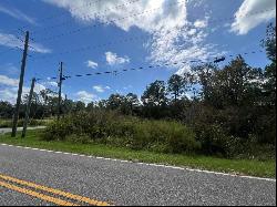 00 Richardson Boulevard #Lot 1, Webster FL 33597