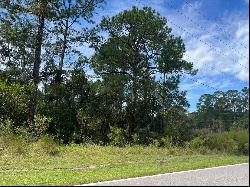 00 Richardson Boulevard #Lot 1, Webster FL 33597