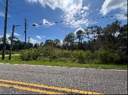 00 Richardson Boulevard #Lot 1, Webster FL 33597