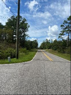 00 Richardson Boulevard #Lot 1, Webster FL 33597