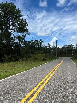 00 Richardson Boulevard #Lot 1, Webster FL 33597