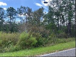 00 Richardson Boulevard #Lot 1, Webster FL 33597