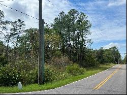 00 Richardson Boulevard #Lot 1, Webster FL 33597