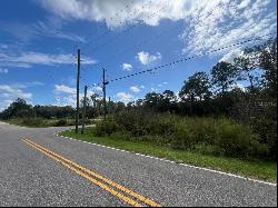 00 Richardson Boulevard #Lot 1, Webster FL 33597