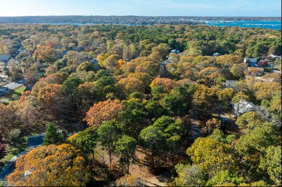 Oak Bluffs