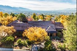 Exquisite Mini-Estate on Tomahawk Drive