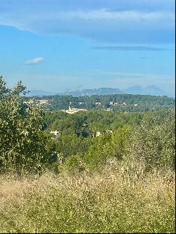 1st Hill of Castelnau le Lez, Dominant View