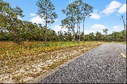 Prime Golf-Front Lot On 18th Hole In Wild Heron