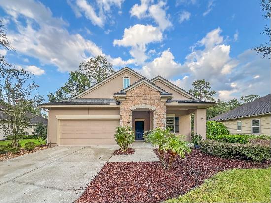 11353 Emilys Crossing Court, Jacksonville, FL