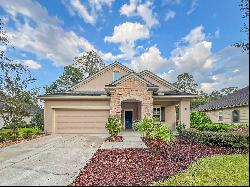 11353 Emilys Crossing Court, Jacksonville, FL