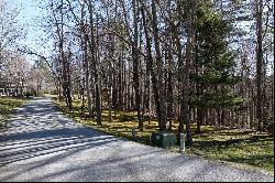 Lot 207 Audubon Trail, Cashiers, NC 28741